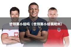 世预赛小组吗（世预赛小组赛规则）