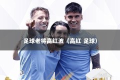 足球老将高红波（高红 足球）