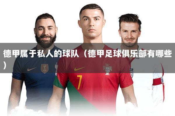 德甲属于私人的球队(德甲足球俱乐部有哪些)