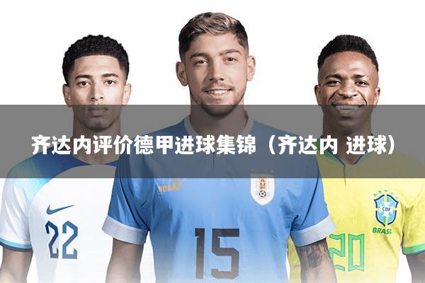 齐达内评价德甲进球集锦(齐达内 进球)