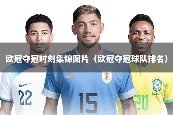 欧冠夺冠时刻集锦图片(欧冠夺冠球队排名)